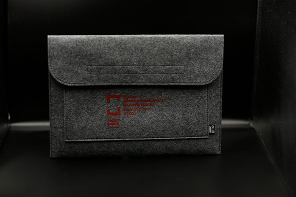 Funda Ordenador logo EAM-MNV Logodun ordenagailu-zorroa