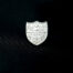2026 insignia zazpirak bat en plata